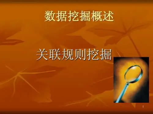 数据挖掘PPT3