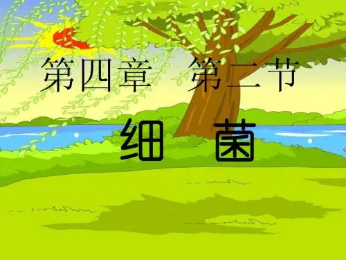 第二节  细菌