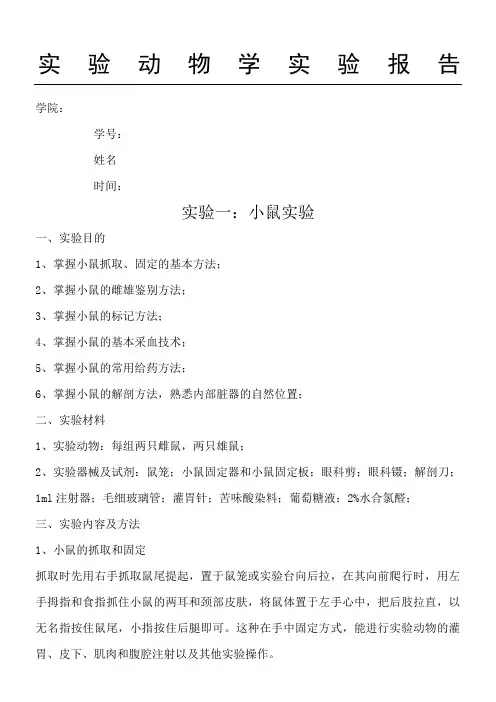 动物实验报告