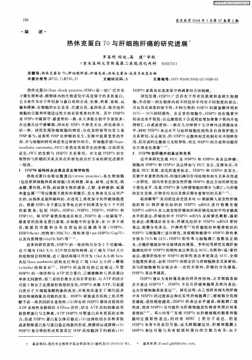 热休克蛋白70与肝细胞肝癌的研究进展