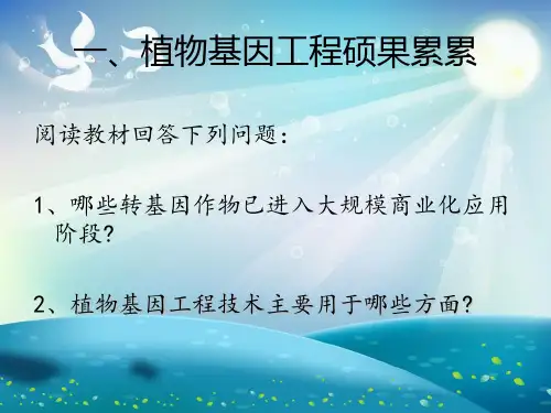 基因工程的应用和蛋白质工程课件