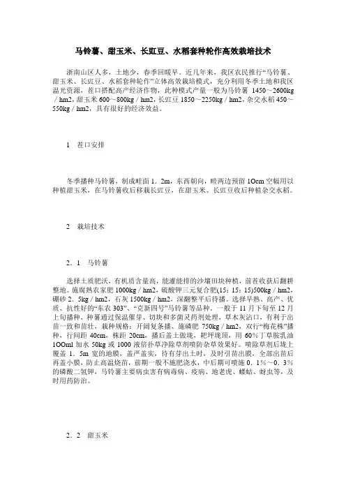 马铃薯、甜玉米、长豇豆、水稻套种轮作高效栽培技术