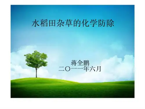 水稻田杂草化学防除