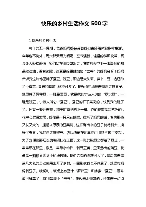 快乐的乡村生活作文500字