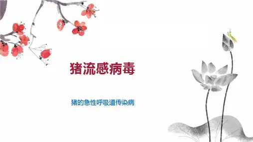 猪流感病毒 
