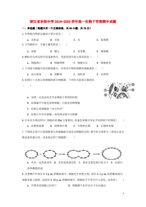 浙江省东阳中学2019_2020学年高一生物下学期期中试题