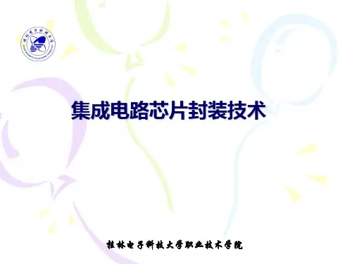 集成电路芯片封装第一讲