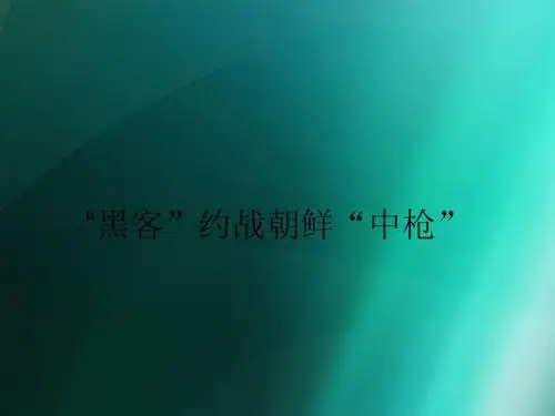 “黑客”约战朝鲜“中枪”