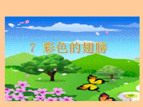 7.彩色的翅膀PPT优选课件