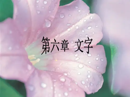 语言学纲要第六章