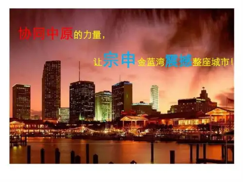 重庆宗申·金蓝湾竞标提案汇报稿中原