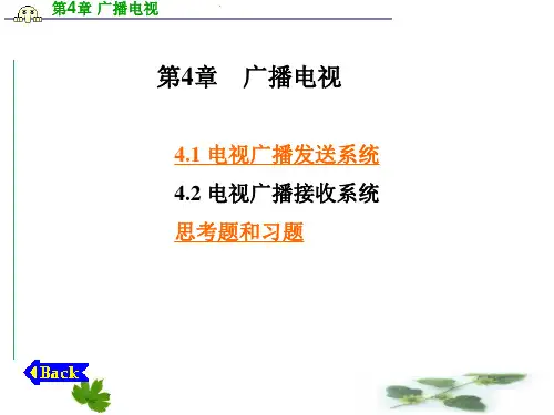 模拟电视广播系统..