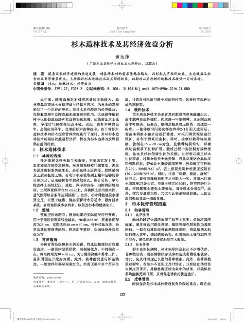 杉木造林技术及其经济效益分析