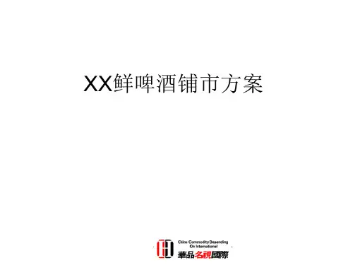 扎啤、原浆推广方案