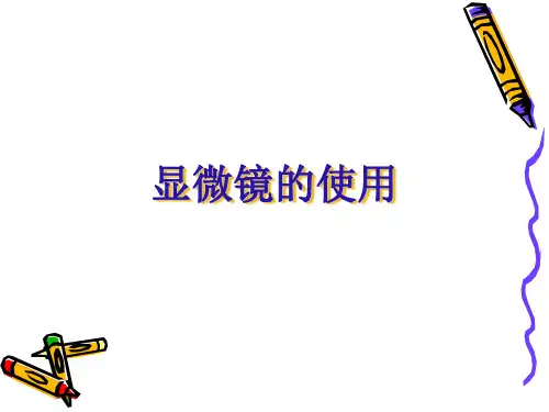 显微镜的使用课件高三高考生物一轮复习