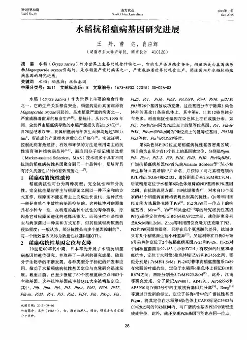 水稻抗稻瘟病基因研究进展