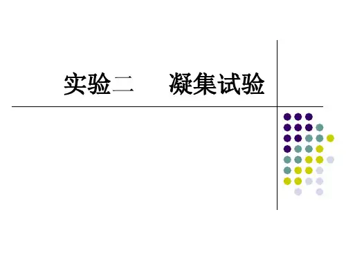 免疫学实验课件:实验二直接凝集试验