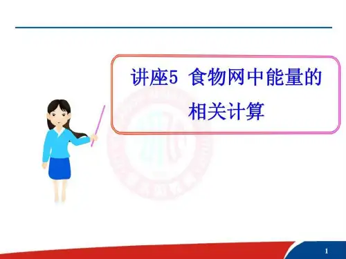生态系统的能量流动计算