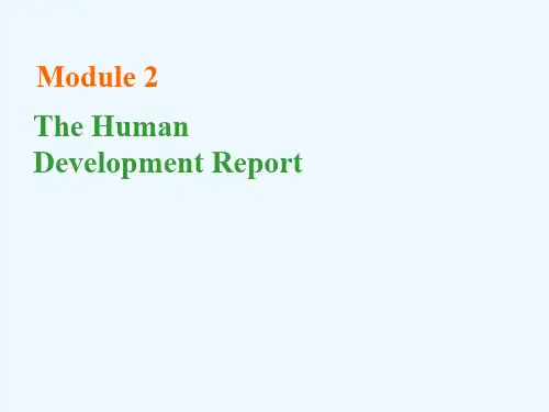 外研版高中英语必修3《Module-2-Developing-and-Developed-Countries》ppt课件
