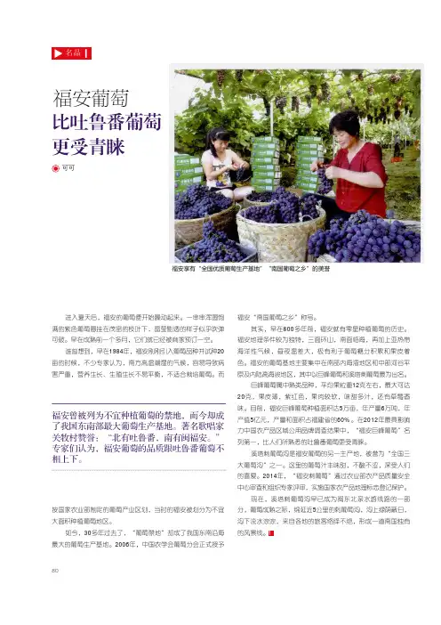 福安葡萄 比吐鲁番葡萄更受青睐