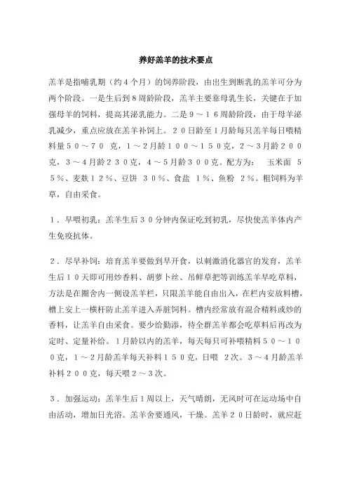 养好羔羊的技术要点