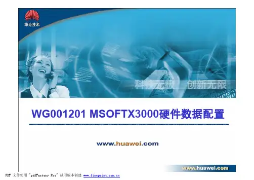 04-MSOFTX3000 硬件数据配置
