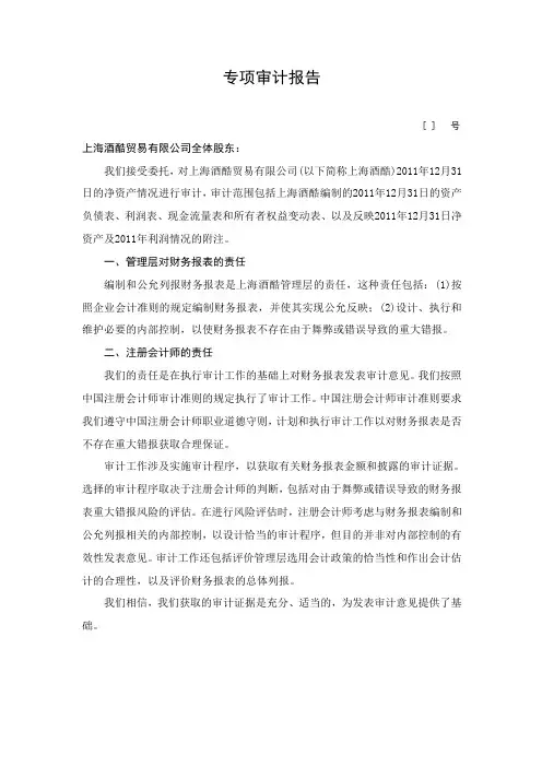 专项审计报告