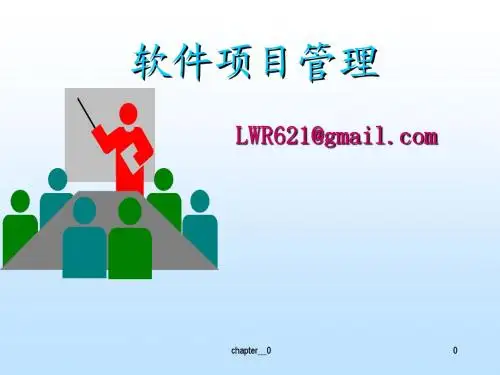 0软件项目管理概述