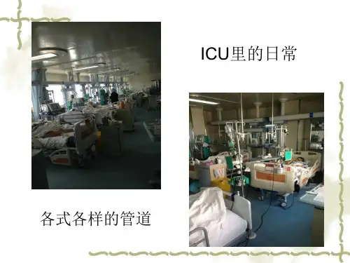 呼吸道的管理