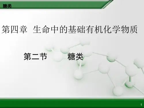 糖类公开课.ppt