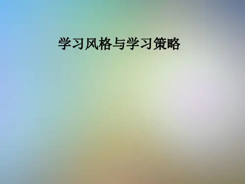 学习风格与学习策略