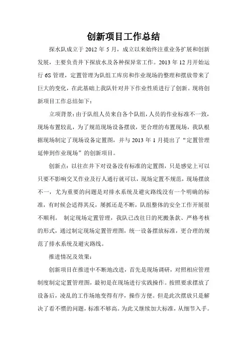 创新项目工作总结