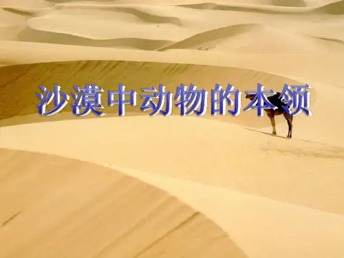 11.沙漠动物的本领汇总
