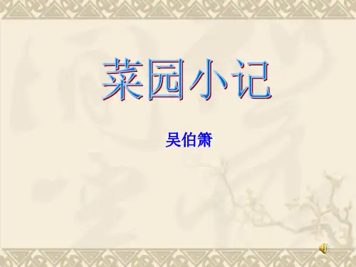 九年级语文下册 《菜园小记》课件 人教新课标版