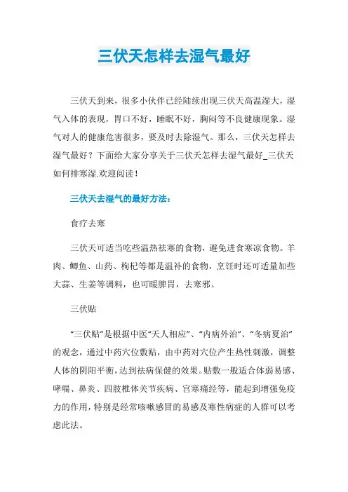 三伏天怎样去湿气最好