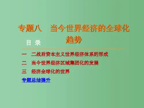 高考历史 专题八 当今世界经济的全球化趋势 人民版必修2