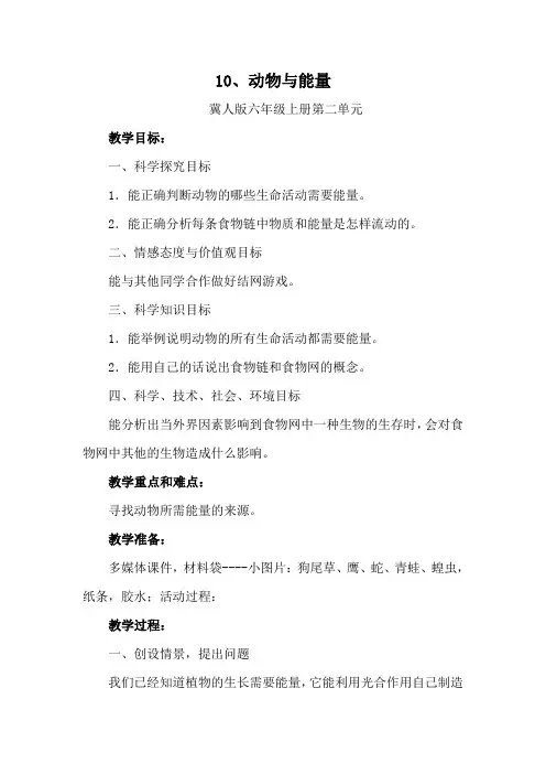 动物与能量教案