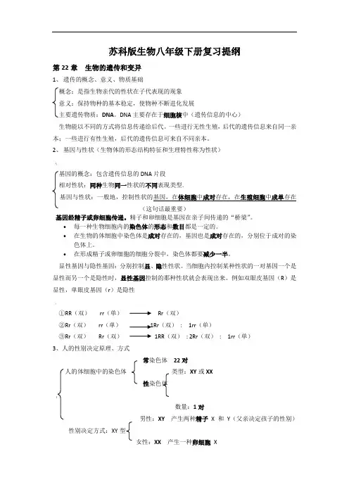 苏科版生物八年级下册复习提纲