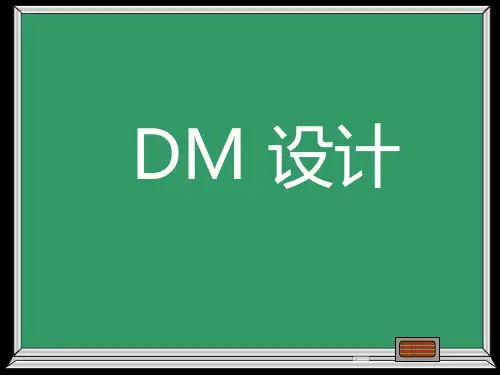 DM设计