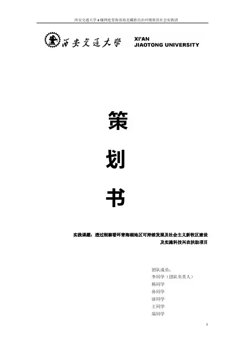 社会实践策划范例