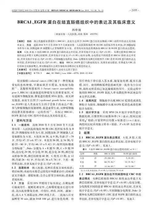 BRCA1、EGFR蛋白在结直肠癌组织中的表达及其临床意义