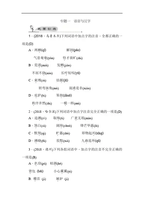 中考语文-2018年中考语文考点聚焦检测试题1 最新