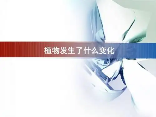 《植物发生了什么变化》教学课件
