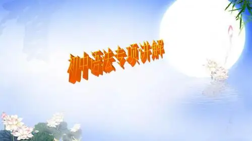 初中语法专项讲解2冠词