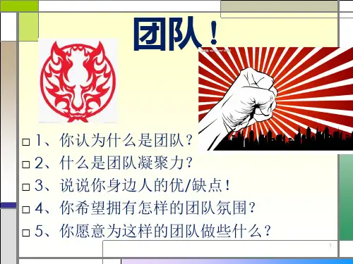 团队凝聚力培训理论课