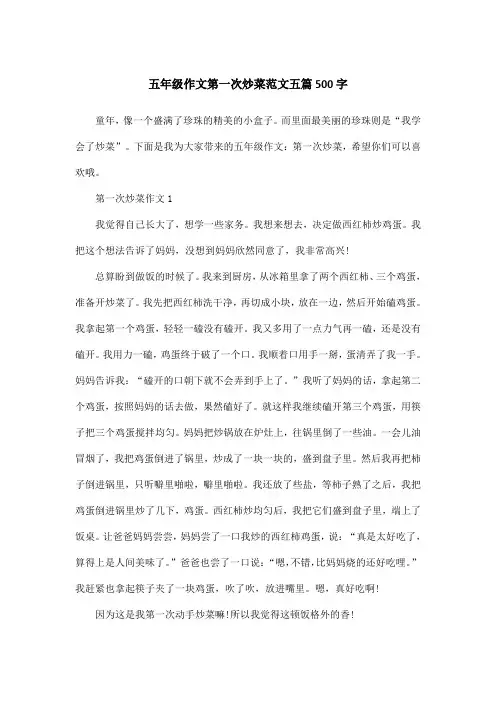 五年级作文第一次炒菜范文五篇500字