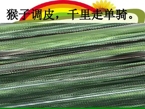 人教版八年级物理下册8.2二力平衡 (2).pptx