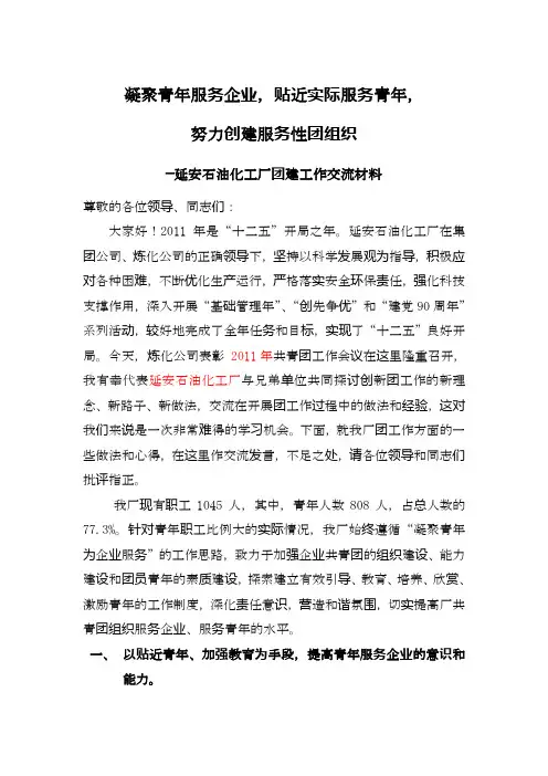 团工作会议交流材料