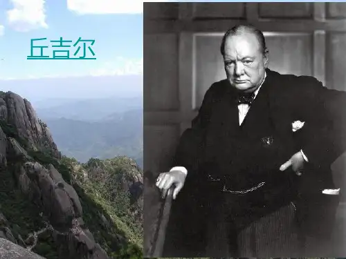 丘吉尔简介