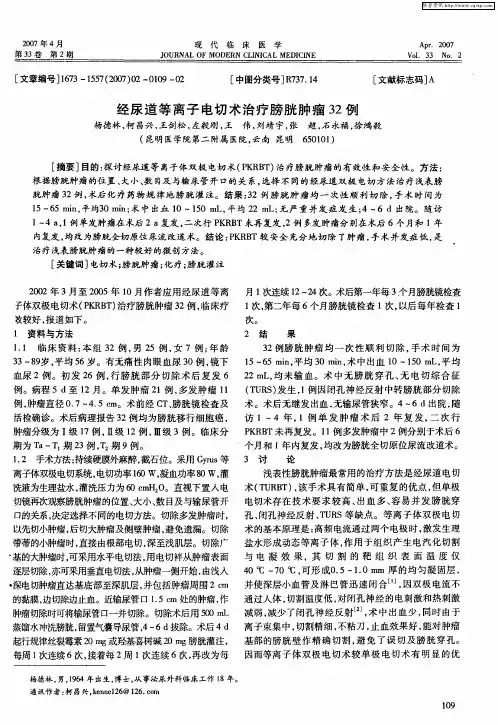 经尿道等离子电切术治疗膀胱肿瘤32例